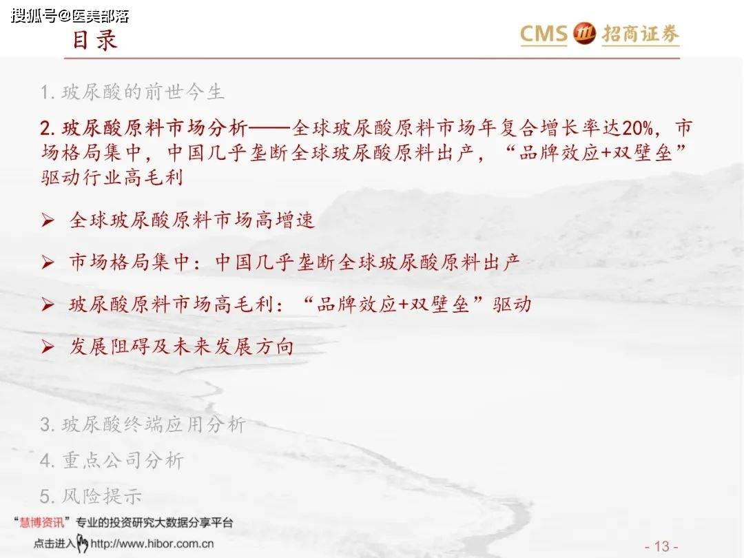 医美报告：《玻尿酸行业分析红宝书》