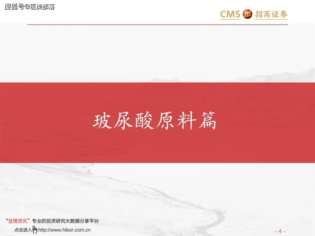 医美报告：《玻尿酸行业分析红宝书》