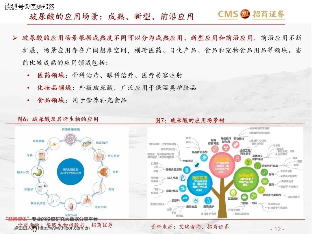 医美报告：《玻尿酸行业分析红宝书》