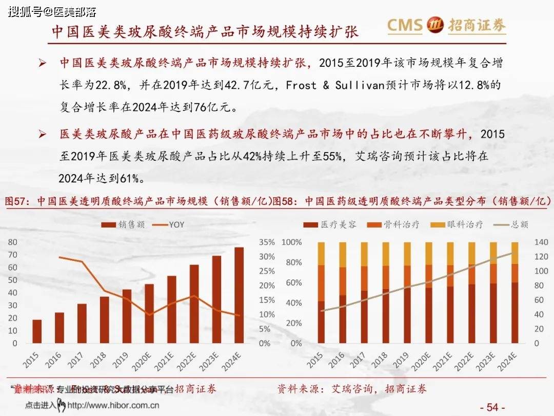 医美报告：《玻尿酸行业分析红宝书》