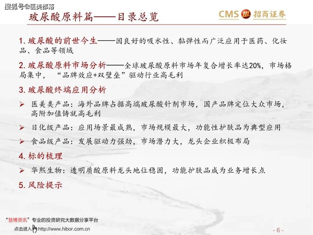 医美报告：《玻尿酸行业分析红宝书》