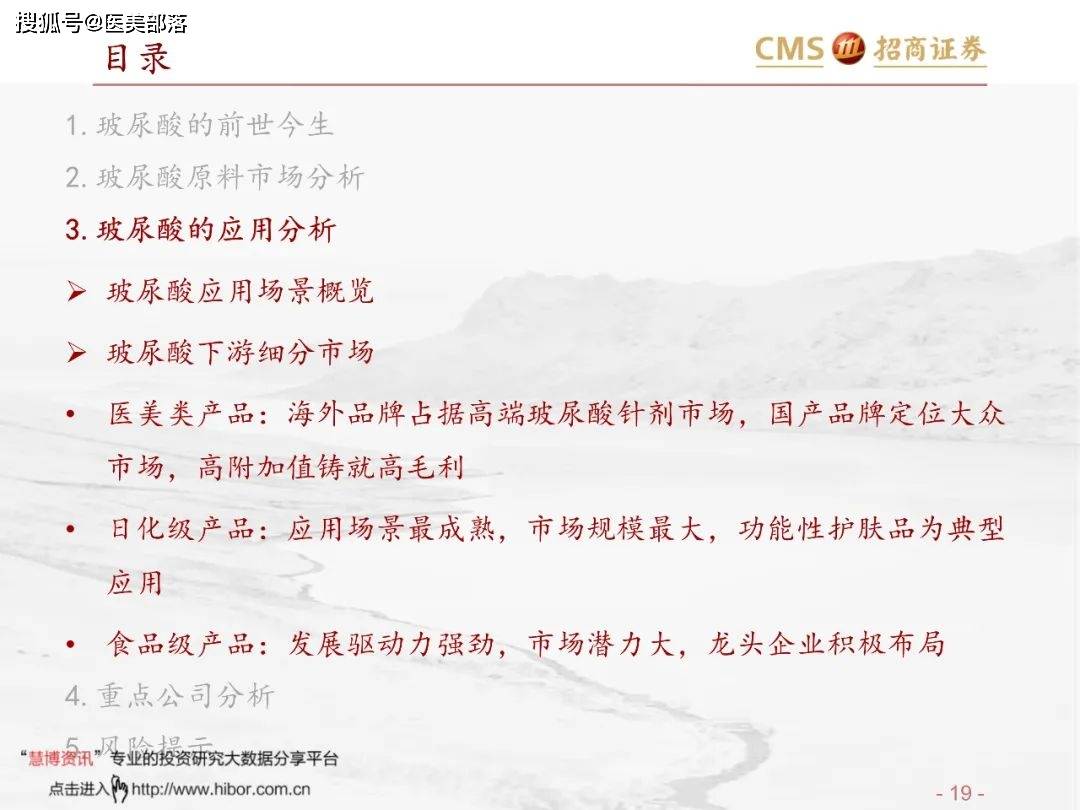 医美报告：《玻尿酸行业分析红宝书》