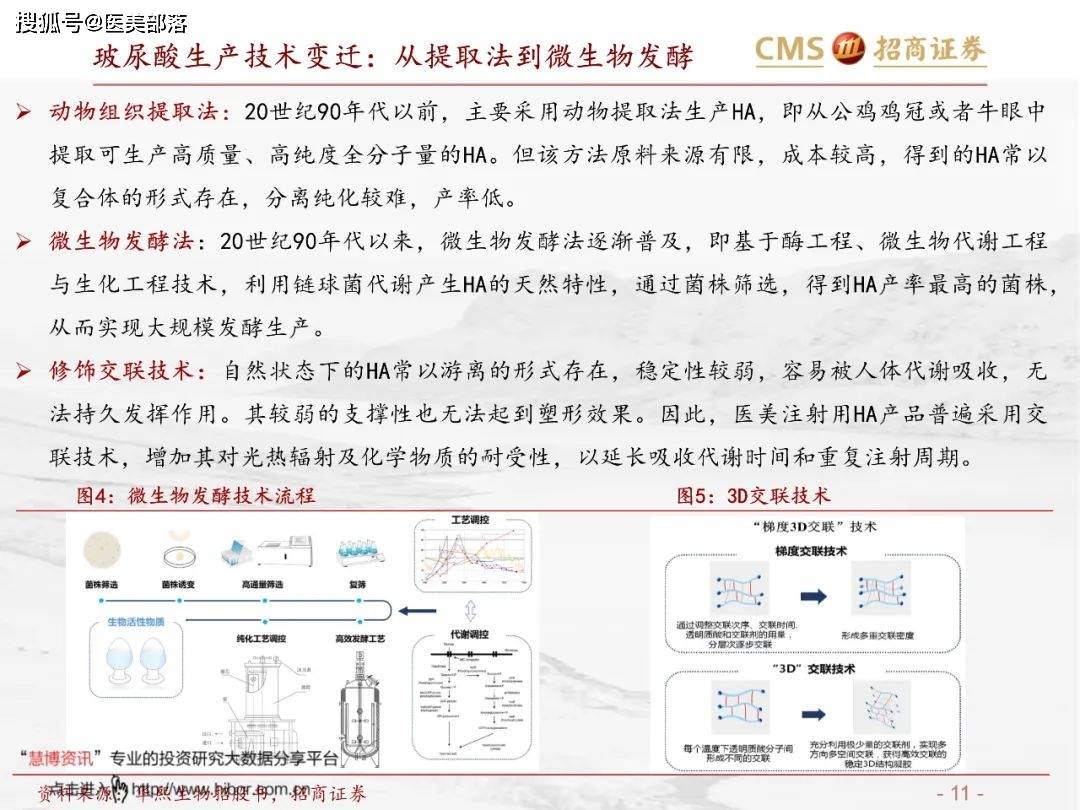 医美报告：《玻尿酸行业分析红宝书》