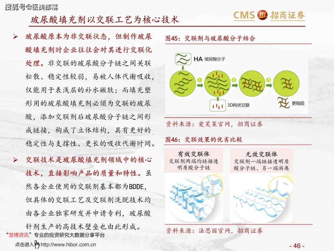 医美报告：《玻尿酸行业分析红宝书》