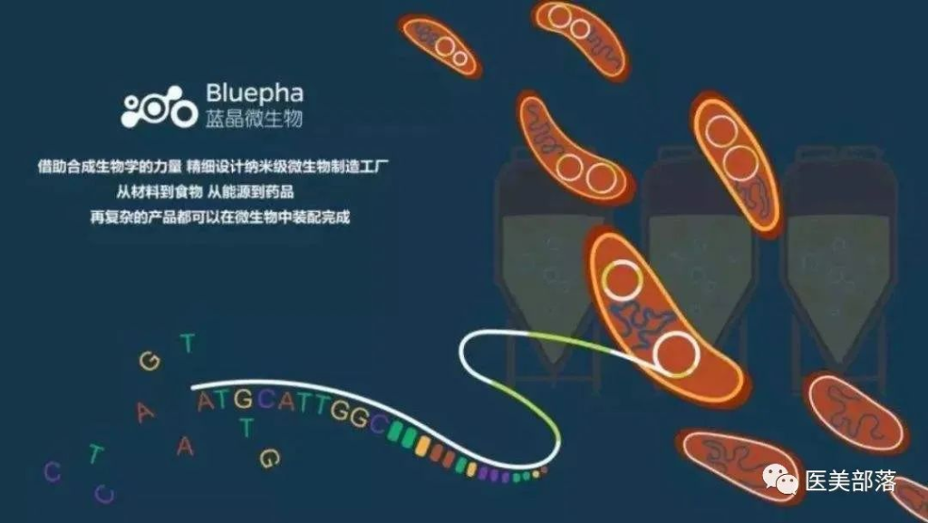 再生医美："三足鼎立"的格局，"群雄逐鹿"的态势