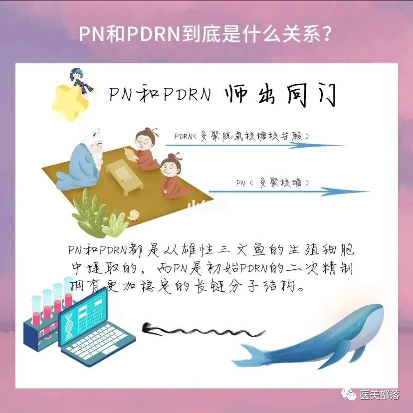 三文鱼针：关于"三文鱼针"中的PDRN和PN