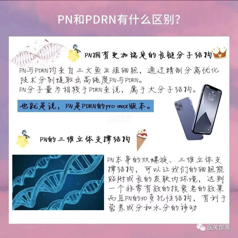 三文鱼针：关于"三文鱼针"中的PDRN和PN