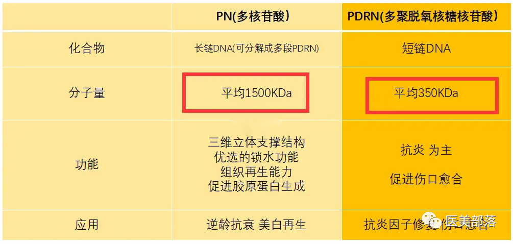 三文鱼针：关于"三文鱼针"中的PDRN和PN