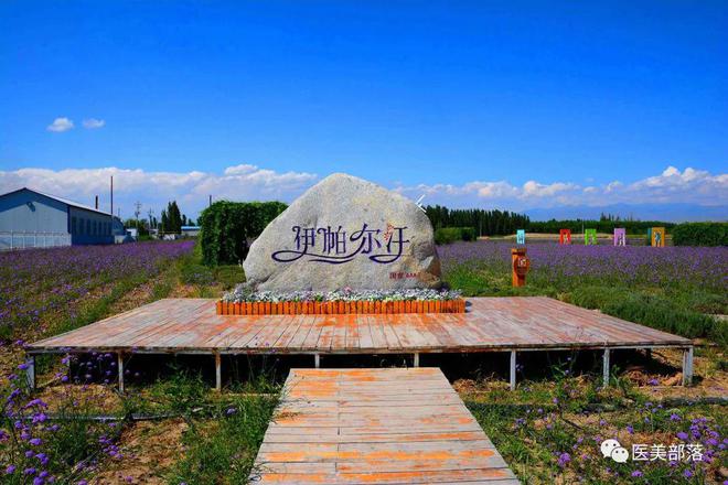 鲁商发展：59亿出售"地产"业务，全面聚焦"大健康"产业