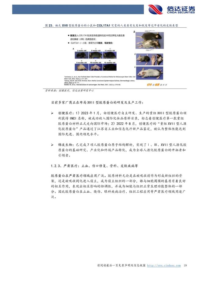 巨子生物：《以护肤品&敷料为始，奔赴星辰大海》