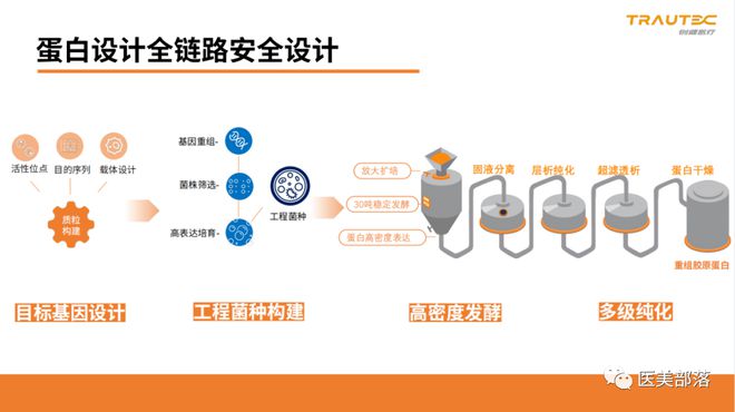 创健医疗：第2款"重组III型小分子"胶原蛋白成功获得国际INCI名称
