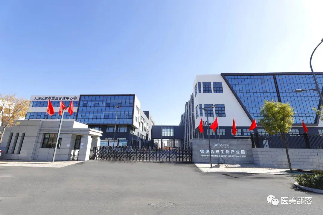 锦波生物：欧莱雅入局"重组胶原蛋白"，引领"高端抗衰"护肤新趋势