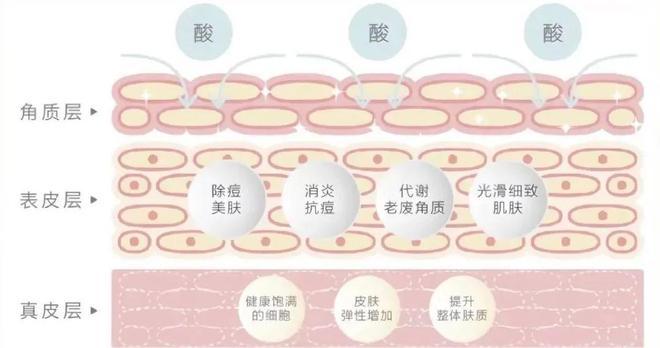 科普：「果酸焕肤」新手刷酸指南