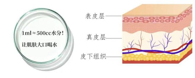 科普：「玻尿酸」分类及不同部位选择指南