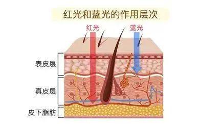 科普：「红蓝光」痘肌护理的天命好物