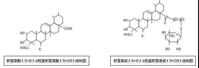 科普 ：「积雪草」敏感肌安全白名单