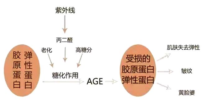 科普：「皮肤老化」真相揭秘