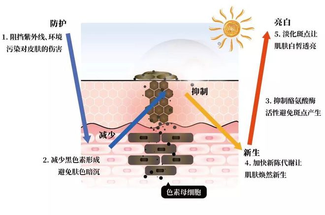 科普：激光后「反黑」如何正确自救版