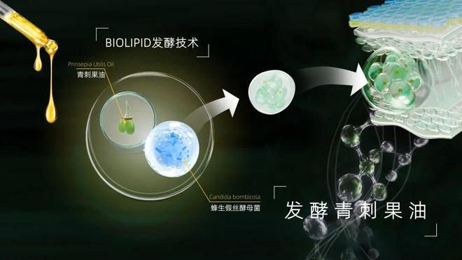 贝泰妮：依托「产学研医」产业优势，深化「植物科技」产品创新