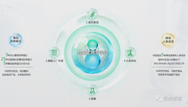 巨子生物：「全年营收」突破35亿，登顶国货美妆「市值榜首」