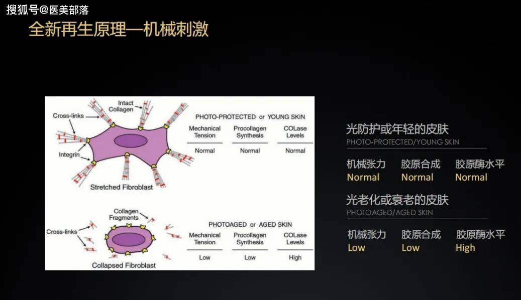 珀利肤：「宝宝针」亮相祛斑抗衰联盟，重新定义「微交联」真皮抗衰