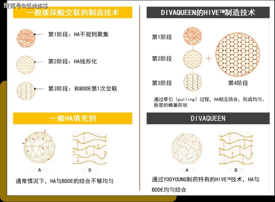 蒂娜女王：精彩亮相「第七届IAIC」，精细化塑造「东方自然美」