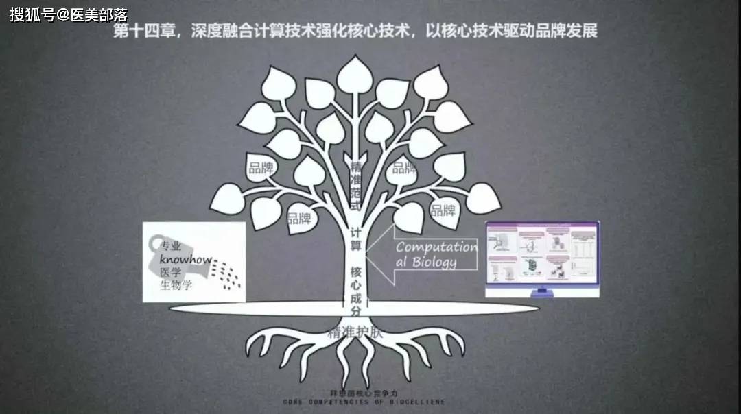 第十四章：发布「精准护肤」专家共识，引领美妆科研「标准范式」