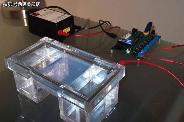 花瓣生物：新一代「填充剂」搅局者「琼脂糖」AGAFILLER 
