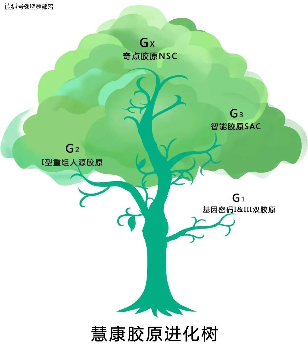 慧康生物：「中国肽库」携手香港理工大学，共同推进「多肽创新」融合发展 