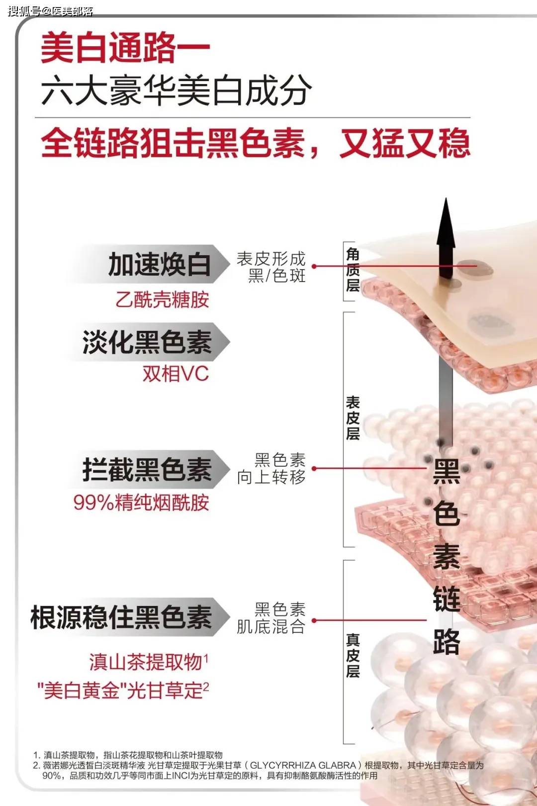 薇诺娜 | 探索「健康美白」新链路，撑起美白赛道「天花板」 