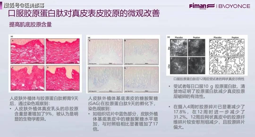 斐缦生物：专研「活性胶原蛋白」，实现全方位「胶原年轻化」方案 