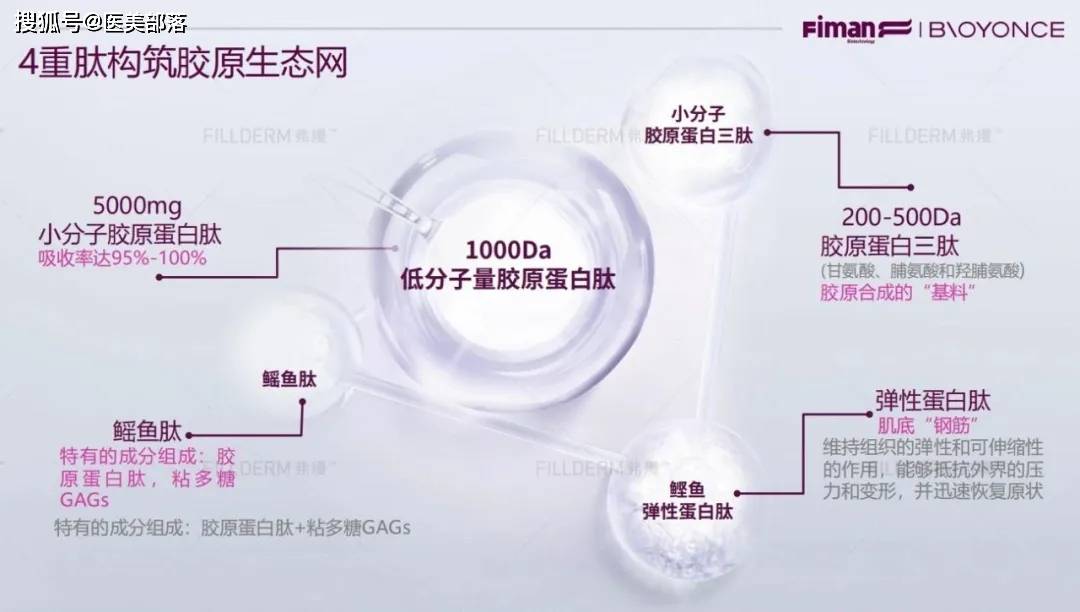 斐缦生物：专研「活性胶原蛋白」，实现全方位「胶原年轻化」方案 