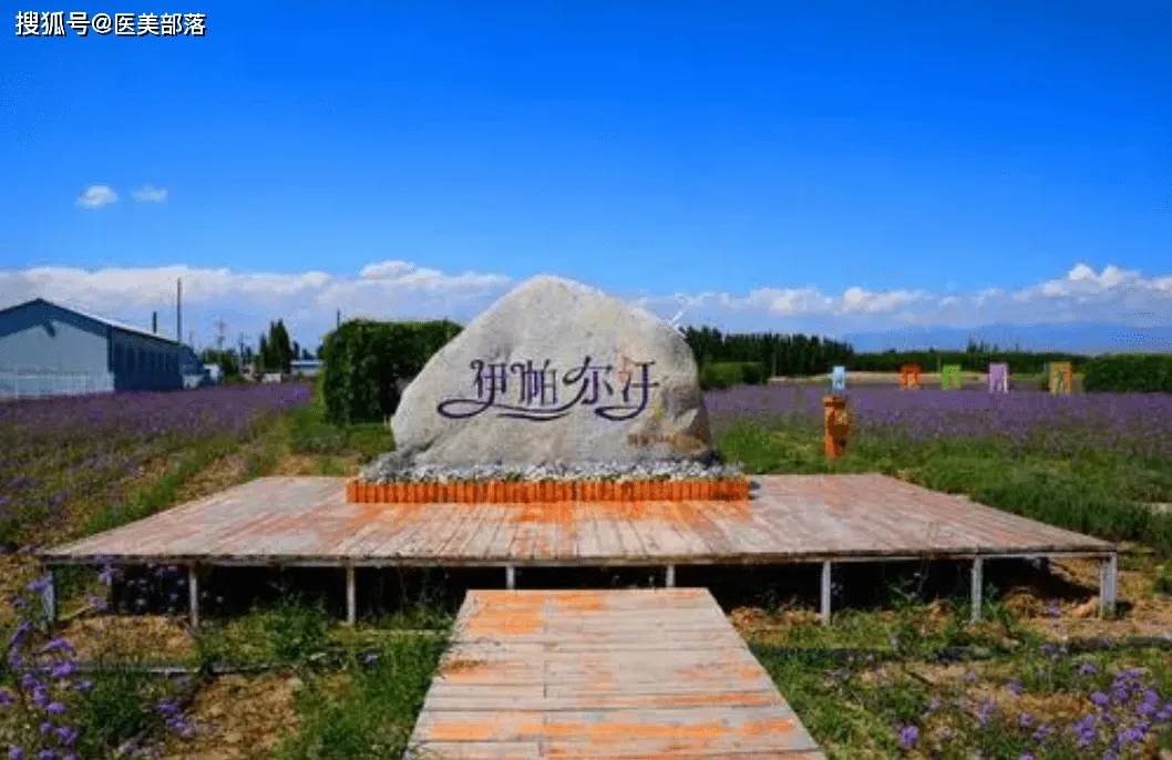福瑞达 | 国内首个「生物合成」新原料「王浆酸」备案成功 