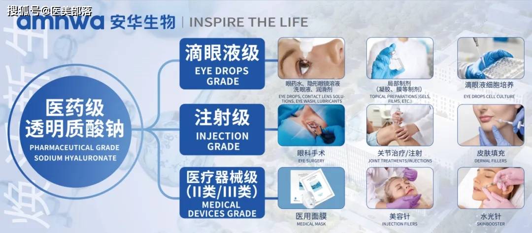 安华生物丨全球领先「透明质酸钠」生产商，旗下「医美+护肤」品牌璀璨绽放