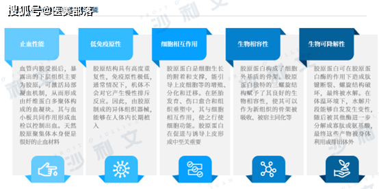 沙利文 | 联合恒医生物全球发布《重组III型三螺旋胶原蛋白白皮书》 