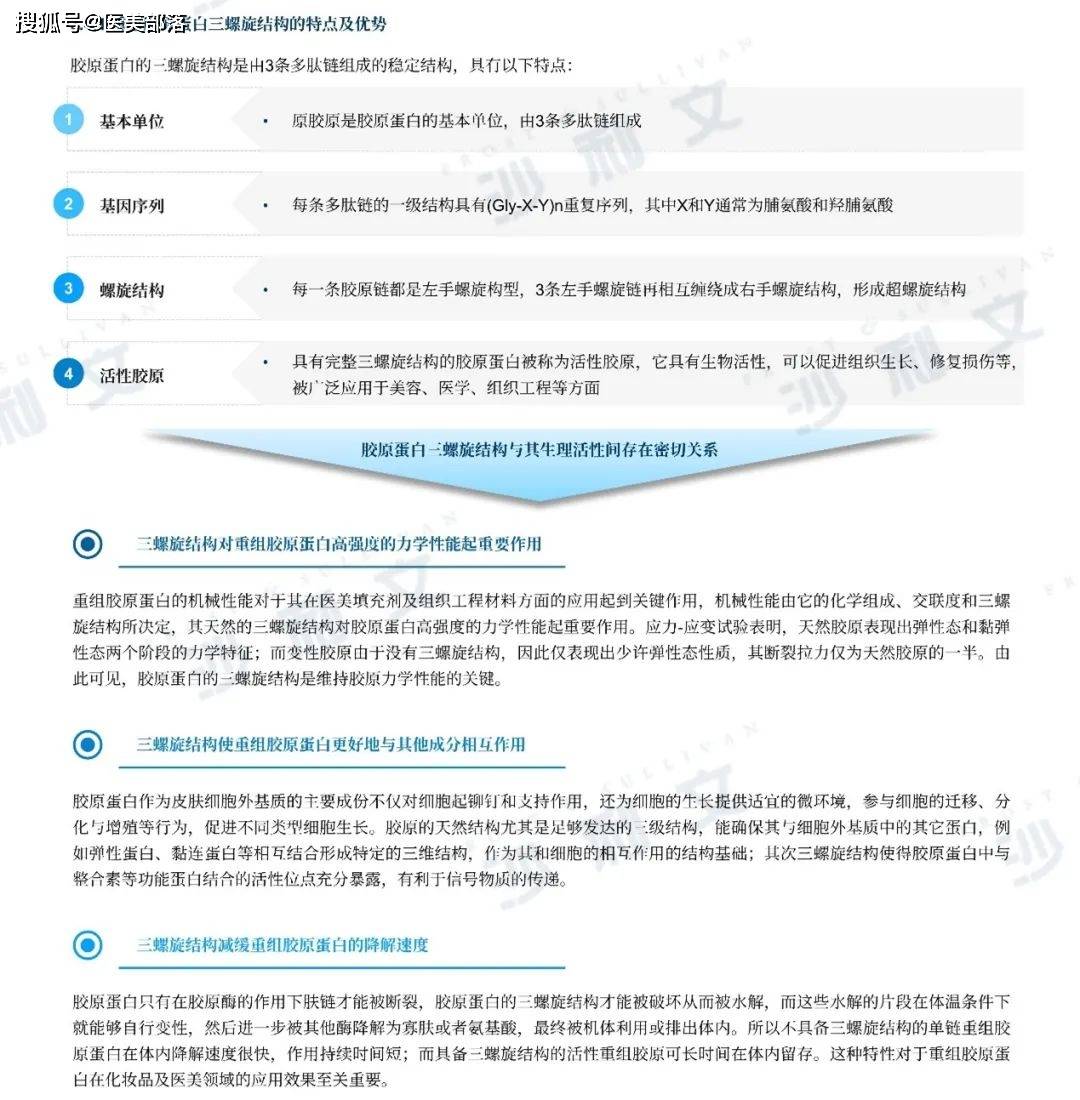 沙利文 | 联合恒医生物全球发布《重组III型三螺旋胶原蛋白白皮书》 