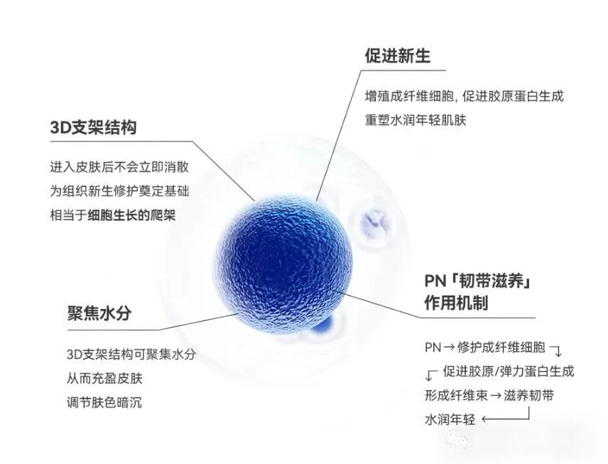 希恩菲 | 旗下「PDRN再生水光」研产项目在海南正式开工
