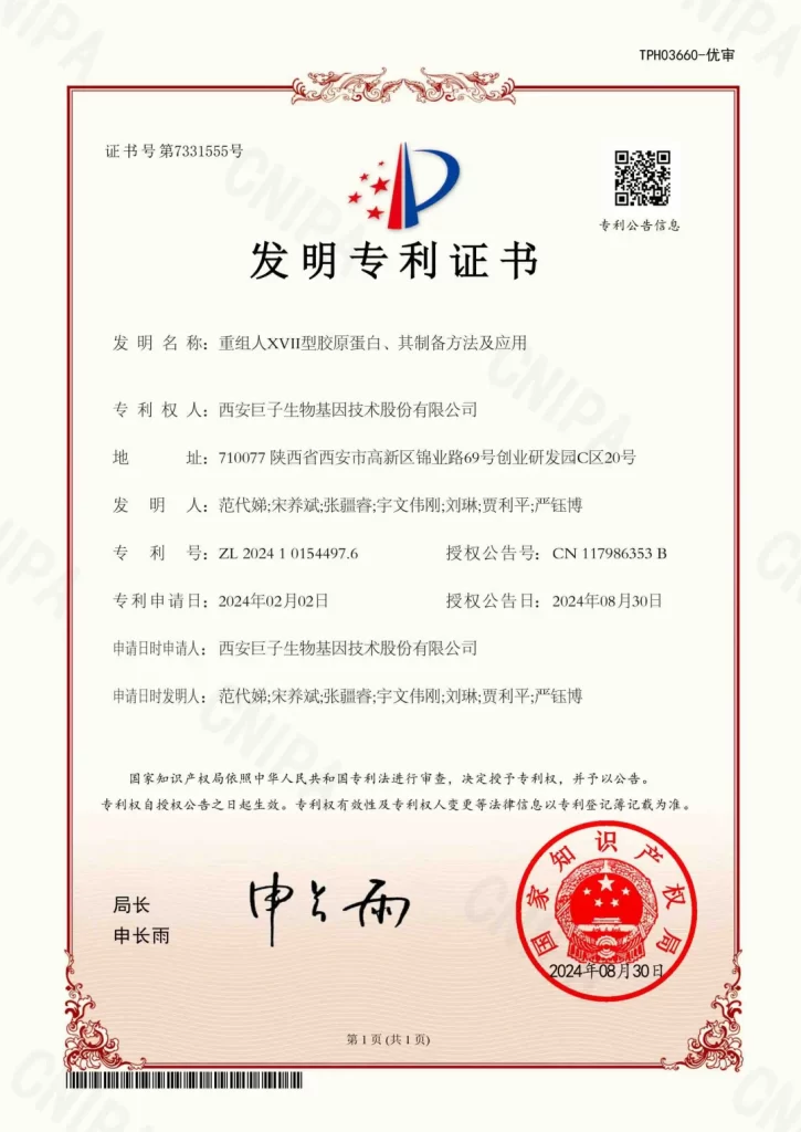巨子生物 | 旗下「重组人XVII型胶原蛋白」专利授权，开启「毛发再生」新思路