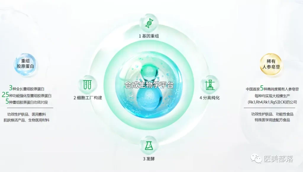 巨子生物 | 旗下「重组人XVII型胶原蛋白」专利授权，开启「毛发再生」新思路