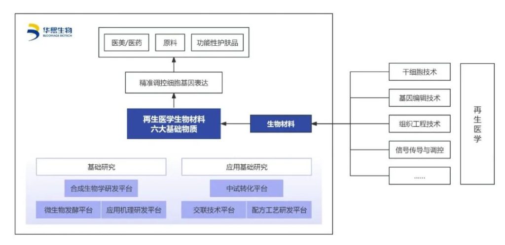 华熙生物 | 细胞「再生医学」成果发布，开启美妆「精准调控」时代