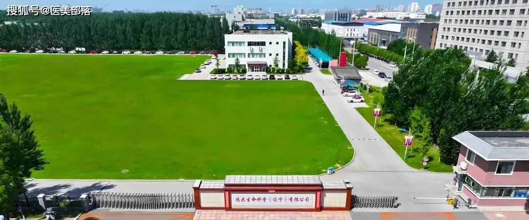 胶原焕新瓶｜打造「减法美学」品项，助力年终业绩冲刺 
