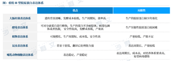 沙利文 | 联合恒医生物全球发布《重组III型三螺旋胶原蛋白白皮书》 