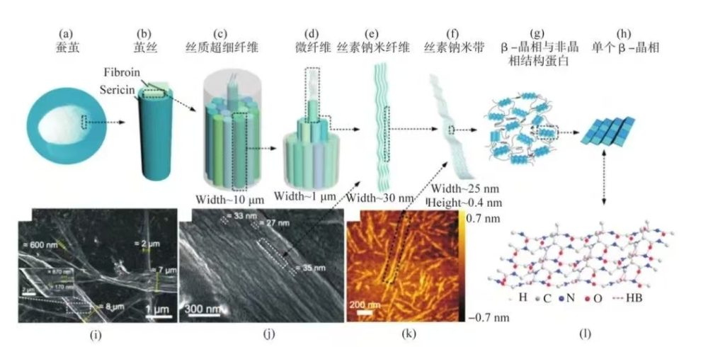 复向医疗 | 聚焦「丝素蛋白」领域，引领「东方美学」走向全球