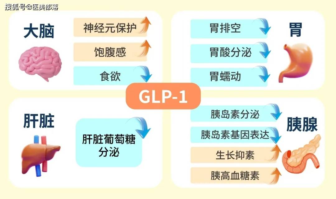诺和盈 | 「司美格鲁肽」线上线下同步发售，构建「一站式减重」新格局
