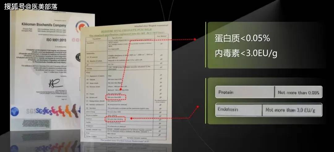 东国粉墨 | 用高品质突围「水光市场」，用高标准打造「国民品牌」 