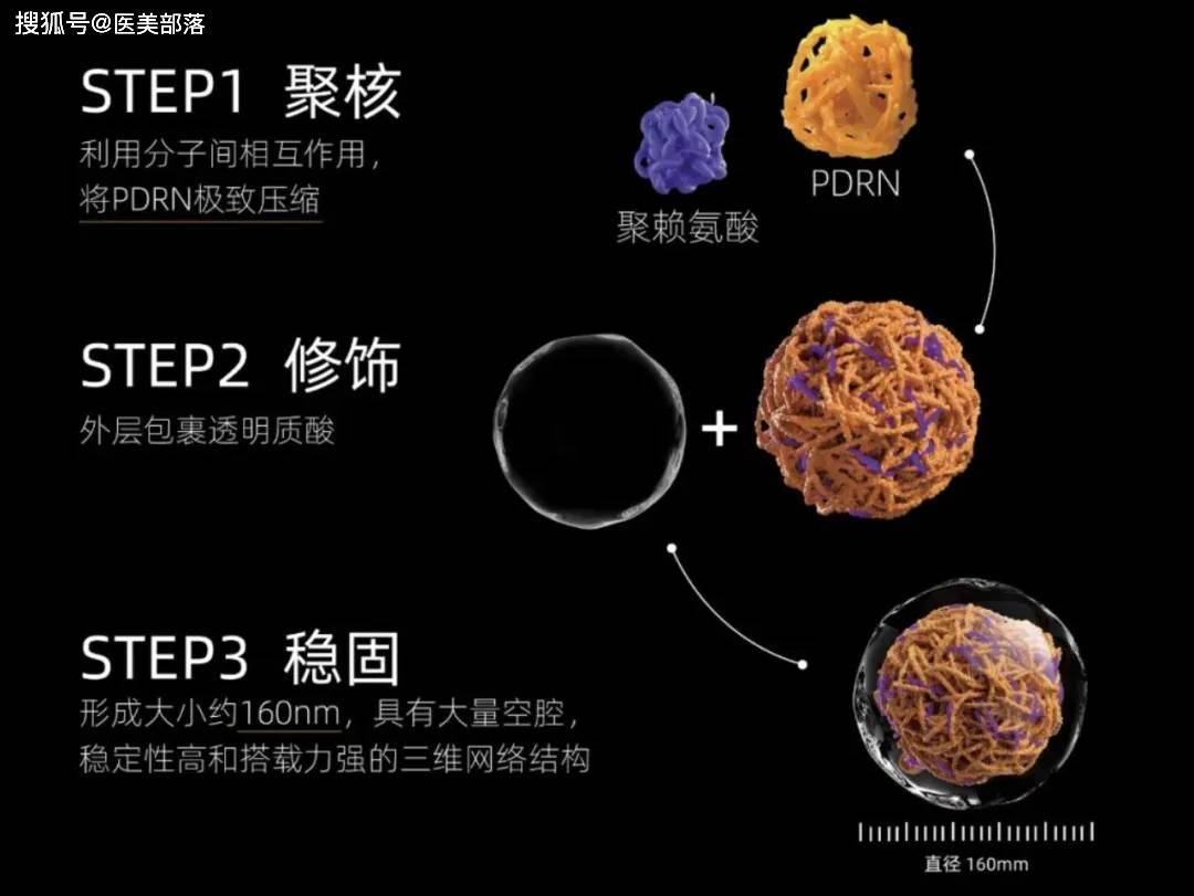 绽媄娅 | 全球首个「球PDRN」护肤品，「精准抗老」新突破