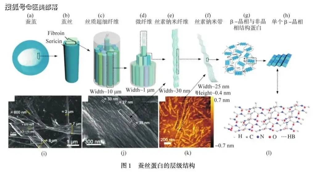 复向美学 | 旗下首个二类器械「丝素蛋白敷料」正式获批 