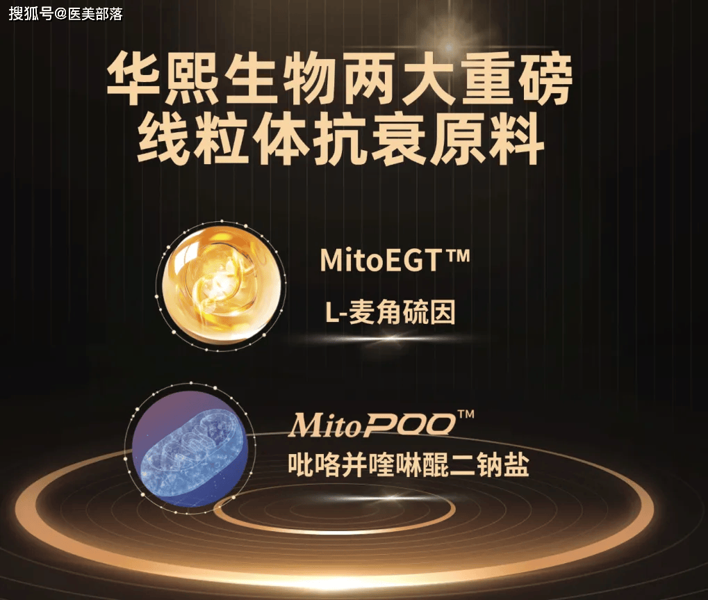 华熙生物 | 线粒体「Mito计划」启动，引领「细胞级抗衰」新方向