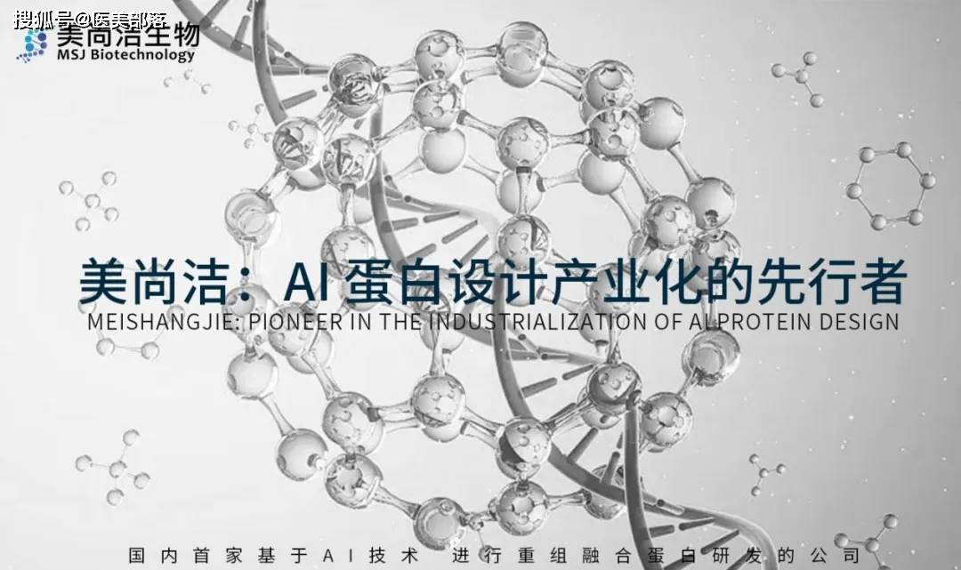 美尚洁 | 「AI蛋白设计」先行者，开启「中国产业化」新篇章