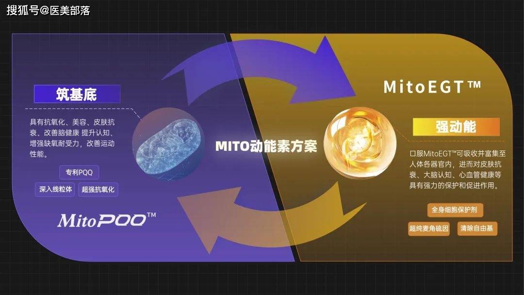 华熙生物 | 线粒体「Mito计划」启动，引领「细胞级抗衰」新方向